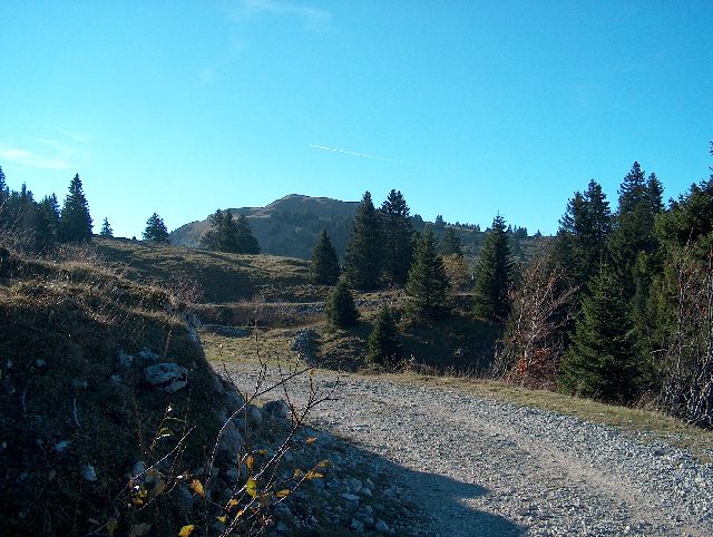 HPIM6704.JPG
