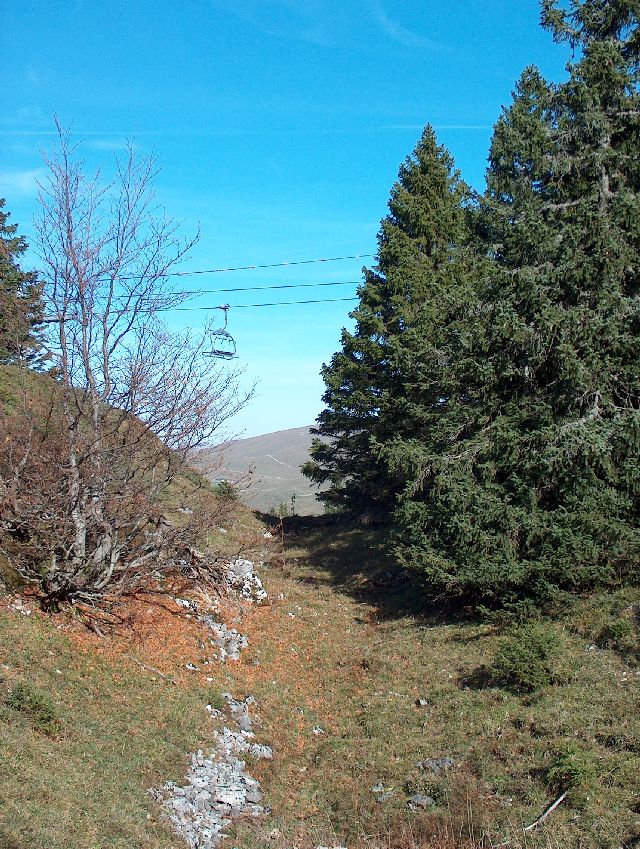 HPIM6760.JPG