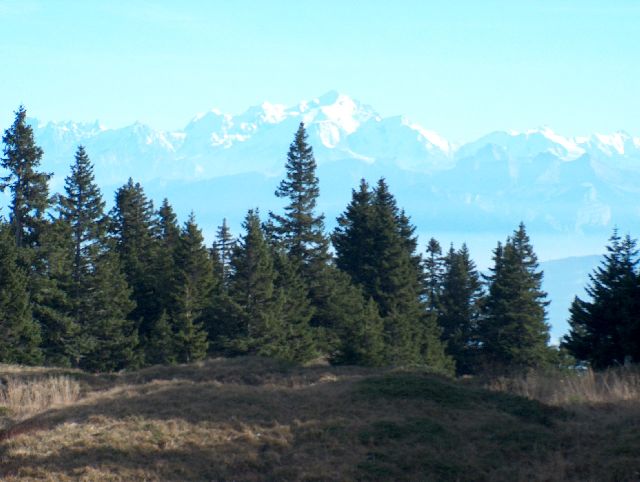 HPIM6763.JPG